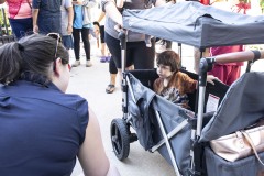 August 3, 2022: Senator Amanda Cappelletti Hosts Kids Fair at Elmwood Park Zoo