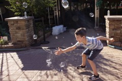 August 3, 2022: Senator Amanda Cappelletti Hosts Kids Fair at Elmwood Park Zoo