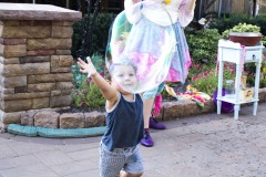 August 3, 2022: Senator Amanda Cappelletti Hosts Kids Fair at Elmwood Park Zoo