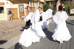 August 3, 2022: Senator Amanda Cappelletti Hosts Kids Fair at Elmwood Park Zoo