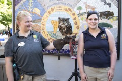 August 3, 2022: Senator Amanda Cappelletti Hosts Kids Fair at Elmwood Park Zoo