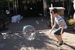 August 3, 2022: Senator Amanda Cappelletti Hosts Kids Fair at Elmwood Park Zoo