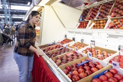 January 12, 2024: Sen. Cappelletti visited the PA Farm Show today and interviewed Agriculture Secretary Russell Redding before capping the day with a blue ribbon in the annual Celebrity Cow Milking Contest.   Sen. Cappelletti, along with teammates Sens. Vogel and Rothman, as well as local news anchor Valerie Pritchett, produced 1.45 lbs of milk from a cow named “Molly” to earn the championship.