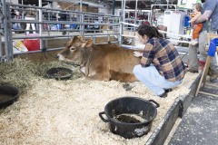 January 12, 2024: Sen. Cappelletti visited the PA Farm Show today and interviewed Agriculture Secretary Russell Redding before capping the day with a blue ribbon in the annual Celebrity Cow Milking Contest.   Sen. Cappelletti, along with teammates Sens. Vogel and Rothman, as well as local news anchor Valerie Pritchett, produced 1.45 lbs of milk from a cow named “Molly” to earn the championship.