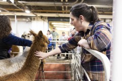 January 12, 2024: Sen. Cappelletti visited the PA Farm Show today and interviewed Agriculture Secretary Russell Redding before capping the day with a blue ribbon in the annual Celebrity Cow Milking Contest.   Sen. Cappelletti, along with teammates Sens. Vogel and Rothman, as well as local news anchor Valerie Pritchett, produced 1.45 lbs of milk from a cow named “Molly” to earn the championship.