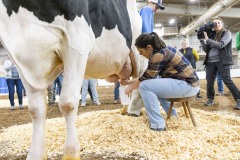 January 12, 2024: Sen. Cappelletti visited the PA Farm Show today and interviewed Agriculture Secretary Russell Redding before capping the day with a blue ribbon in the annual Celebrity Cow Milking Contest.   Sen. Cappelletti, along with teammates Sens. Vogel and Rothman, as well as local news anchor Valerie Pritchett, produced 1.45 lbs of milk from a cow named “Molly” to earn the championship.