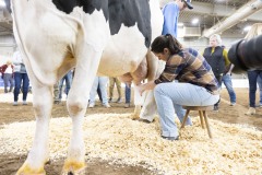 January 12, 2024: Sen. Cappelletti visited the PA Farm Show today and interviewed Agriculture Secretary Russell Redding before capping the day with a blue ribbon in the annual Celebrity Cow Milking Contest.   Sen. Cappelletti, along with teammates Sens. Vogel and Rothman, as well as local news anchor Valerie Pritchett, produced 1.45 lbs of milk from a cow named “Molly” to earn the championship.