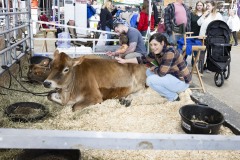 January 12, 2024: Sen. Cappelletti visited the PA Farm Show today and interviewed Agriculture Secretary Russell Redding before capping the day with a blue ribbon in the annual Celebrity Cow Milking Contest.   Sen. Cappelletti, along with teammates Sens. Vogel and Rothman, as well as local news anchor Valerie Pritchett, produced 1.45 lbs of milk from a cow named “Molly” to earn the championship.