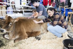 January 12, 2024: Sen. Cappelletti visited the PA Farm Show today and interviewed Agriculture Secretary Russell Redding before capping the day with a blue ribbon in the annual Celebrity Cow Milking Contest.   Sen. Cappelletti, along with teammates Sens. Vogel and Rothman, as well as local news anchor Valerie Pritchett, produced 1.45 lbs of milk from a cow named “Molly” to earn the championship.