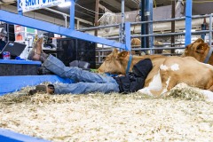 January 12, 2024: Sen. Cappelletti visited the PA Farm Show today and interviewed Agriculture Secretary Russell Redding before capping the day with a blue ribbon in the annual Celebrity Cow Milking Contest.   Sen. Cappelletti, along with teammates Sens. Vogel and Rothman, as well as local news anchor Valerie Pritchett, produced 1.45 lbs of milk from a cow named “Molly” to earn the championship.