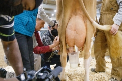 January 14, 2022: Senators Amanda Cappelletti and Sharif Street participate in the 2022 Celebrity Cow Milking Contest.