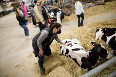 January 14, 2022: Senators Amanda Cappelletti and Sharif Street participate in the 2022 Celebrity Cow Milking Contest.