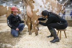 January 14, 2022: Senators Amanda Cappelletti and Sharif Street participate in the 2022 Celebrity Cow Milking Contest.