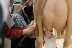 January 14, 2022: Senators Amanda Cappelletti and Sharif Street participate in the 2022 Celebrity Cow Milking Contest.