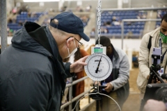 January 14, 2022: Senators Amanda Cappelletti and Sharif Street participate in the 2022 Celebrity Cow Milking Contest.
