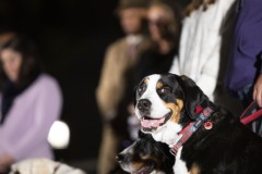 October 17, 2023: Senator Cappelletti joined Senate and House colleagues, advocates, and victims tonight for a Pennsylvania Coalition Against Domestic Violence Memorial Vigil on the steps of the Capitol.
