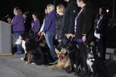 October 17, 2023: Senator Cappelletti joined Senate and House colleagues, advocates, and victims tonight for a Pennsylvania Coalition Against Domestic Violence Memorial Vigil on the steps of the Capitol.