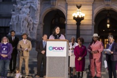 October 17, 2023: Senator Cappelletti joined Senate and House colleagues, advocates, and victims tonight for a Pennsylvania Coalition Against Domestic Violence Memorial Vigil on the steps of the Capitol.