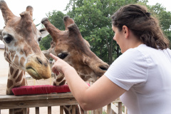 July 29, 2021:  Sen. Cappelletti tours Elmwood Park Zoo