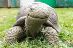 July 29, 2021:  Sen. Cappelletti tours Elmwood Park Zoo