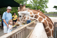 July 29, 2021:  Sen. Cappelletti tours Elmwood Park Zoo