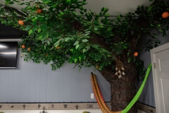 February 21, 2023 :: ESS Bakery Cafe