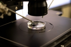 Tour of IVF Clinic