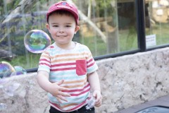 August 2, 2023: Senator Amanda Cappelletti Hosts Annual Kids Fair at Elmwood Park Zoo.