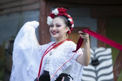 August 2, 2023: Senator Amanda Cappelletti Hosts Annual Kids Fair at Elmwood Park Zoo.