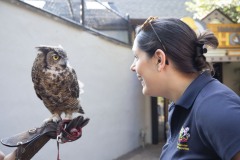 August 2, 2023: Senator Amanda Cappelletti Hosts Annual Kids Fair at Elmwood Park Zoo.