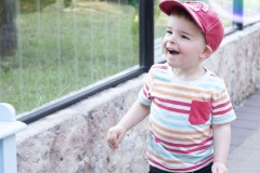 August 2, 2023: Senator Amanda Cappelletti Hosts Annual Kids Fair at Elmwood Park Zoo.