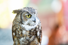 August 24, 2021: Senator Amanda Cappelletti Hosts 1st Annual Kid's Fair