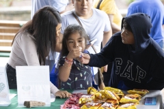 August 8, 2024: Senator Amanda Cappelletti hosts annual Kids’ Fair in the 17th.