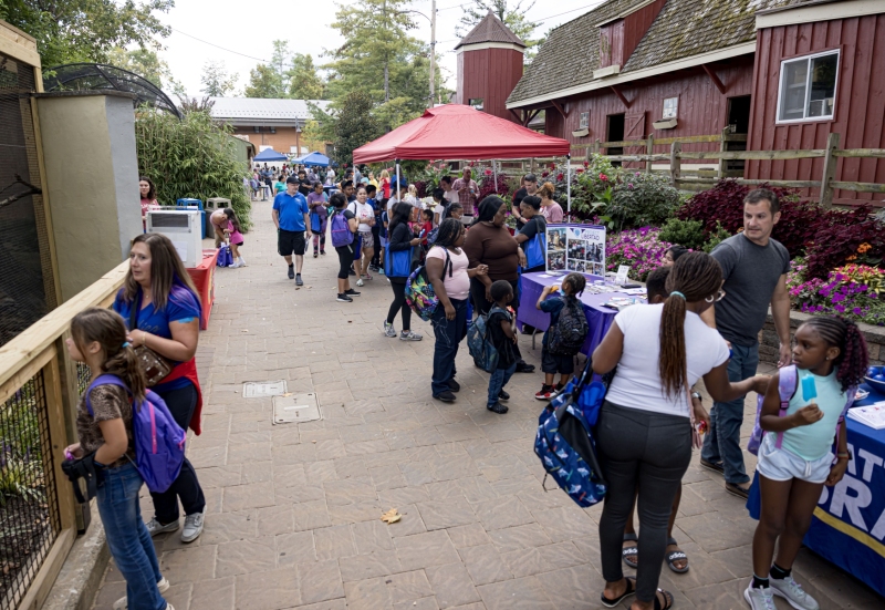 Kids Fair in the Seventeenth