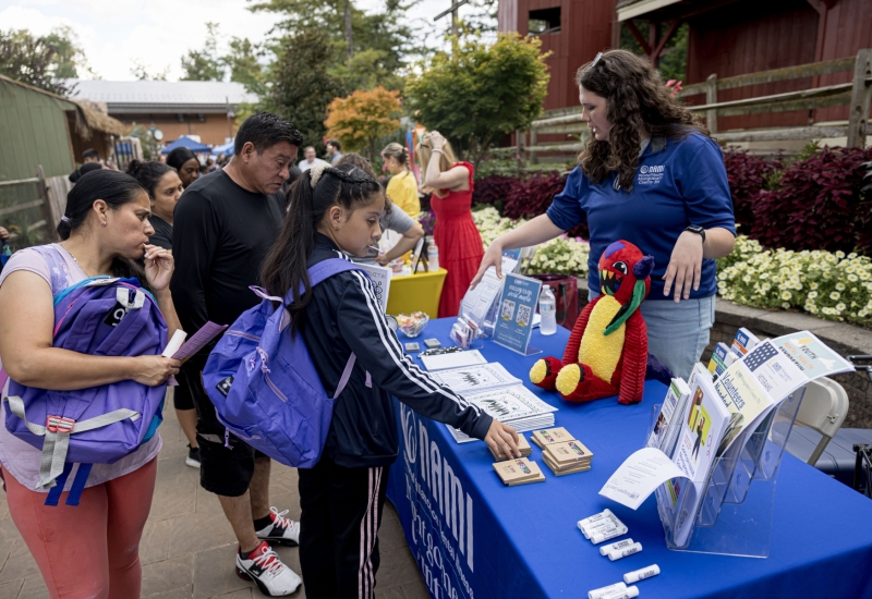Kids Fair in the Seventeenth