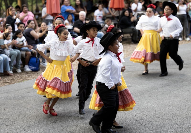 Kids Fair in the Seventeenth
