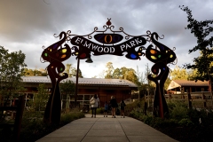 Kids Fair in the Seventeenth