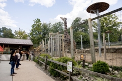 Kids Fair in the Seventeenth