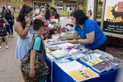 Kids Fair in the Seventeenth