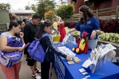 Kids Fair in the Seventeenth