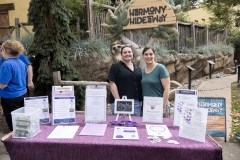 Kids Fair in the Seventeenth