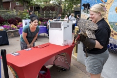 Kids Fair in the Seventeenth