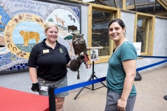 Kids Fair in the Seventeenth