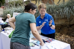 Kids Fair in the Seventeenth