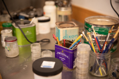 June 3, 2021: Senator Cappelletti Tours Main Line Arts Center