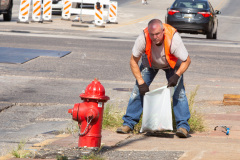 September 18, 2021: Sen. Cappelletti organized a Saturday morning clean-up of West Main Street in Norristown near her district office. Volunteers picked up litter, swept sidewalks and parking lots, weeded flower beds and hauled away more than two dozen bags of trash.