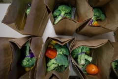 December 23, 2021:  Senator Cappelletti tours Martha’s Choice Marketplace.