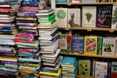 Spotlight in the 17th - Mavey Books