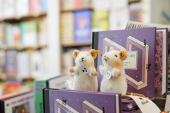 Spotlight in the 17th - Mavey Books