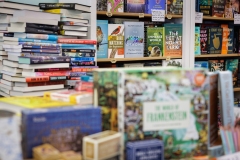 Spotlight in the 17th - Mavey Books